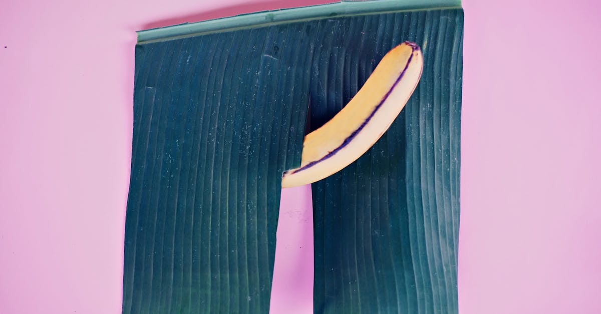 Exploring Different Types of Sex Toys for Enhanced Experiences