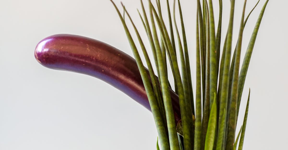 How to Suffuse Warmth into Challenging Conversations